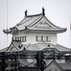 Illustration for article titled Japanese Castle Roof Is So Damn White Its Bewildering People